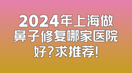 2024年上海做鼻子修复哪家医院好？求推荐！
