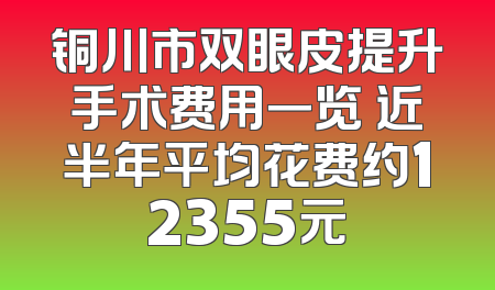 铜川市双眼皮提升手术费用一览 近半年平均花费约12355元