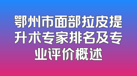 鄂州市面部拉皮提升术专家排名及专业评价概述