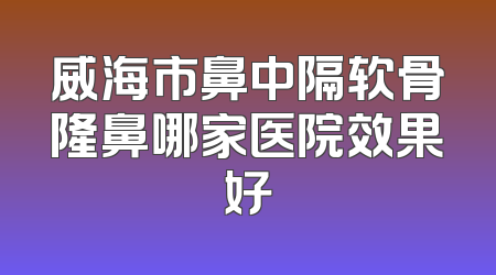 威海市鼻中隔软骨隆鼻哪家医院效果好