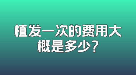 植发一次的费用大概是多少？