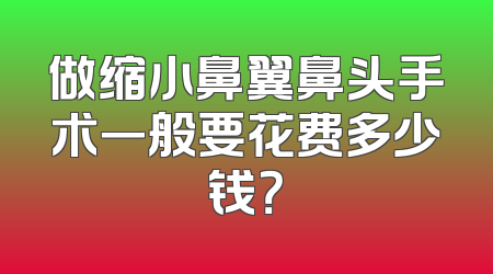 做缩小鼻翼鼻头手术一般要花费多少钱？