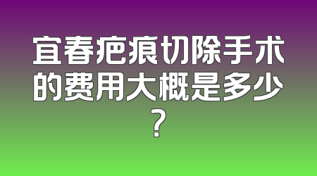 宜春疤痕切除手术的费用大概是多少？