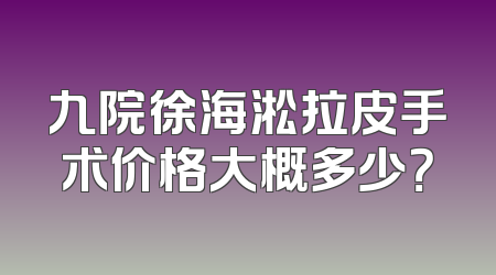 九院徐海淞拉皮手术价格大概多少？