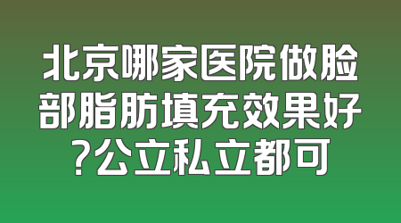 北京哪家医院做脸部脂肪填充效果好？公立私立都可