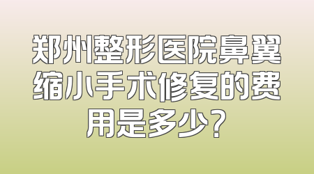 郑州整形医院鼻翼缩小手术修复的费用是多少？