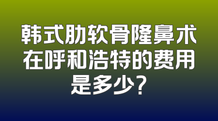 韩式肋软骨隆鼻术在呼和浩特的费用是多少？
