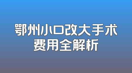 鄂州小口改大手术费用全解析