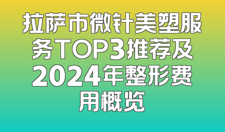 拉萨市微针美塑服务TOP3推荐及2024年整形费用概览