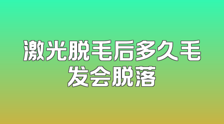 激光脱毛后多久毛发会脱落