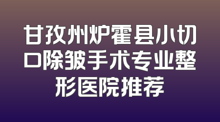 甘孜州炉霍县小切口除皱手术专业整形医院推荐