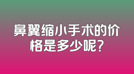 鼻翼缩小手术的价格是多少呢？