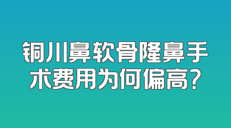铜川鼻软骨隆鼻手术费用为何偏高？