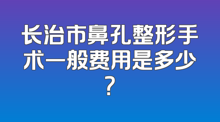 长治市鼻孔整形手术一般费用是多少？