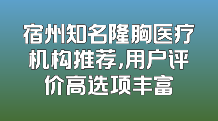宿州知名隆胸医疗机构推荐，用户评价高选项丰富