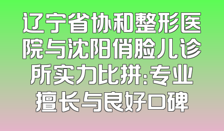 辽宁省协和整形医院与沈阳俏脸儿诊所实力比拼：专业擅长与良好口碑