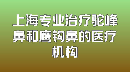 上海专业治疗驼峰鼻和鹰钩鼻的医疗机构