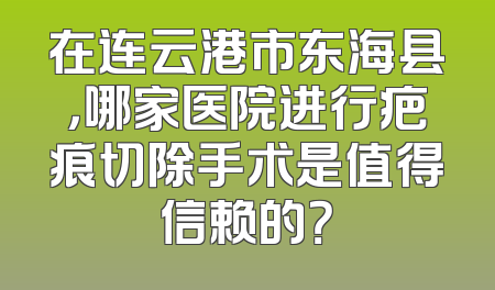 在连云港市东海县，哪家医院进行疤痕切除手术是值得信赖的？
