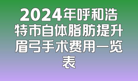 2024年呼和浩特市自体脂肪提升眉弓手术费用一览表