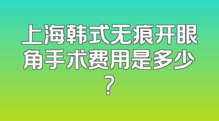 上海韩式无痕开眼角手术费用是多少？