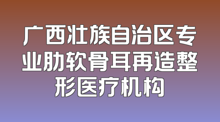 广西壮族自治区专业肋软骨耳再造整形医疗机构