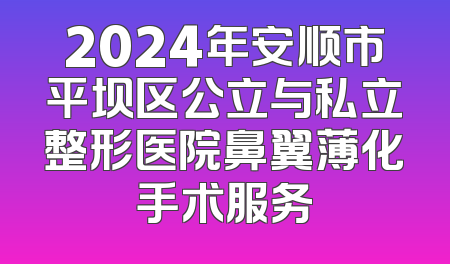 2024年安顺市平坝区公立与私立整形医院鼻翼薄化手术服务