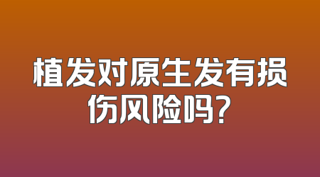 植发对原生发有损伤风险吗？