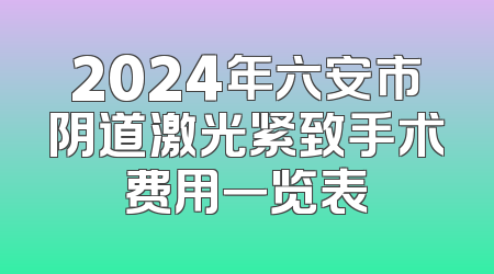 2024年六安市阴道激光紧致手术费用一览表