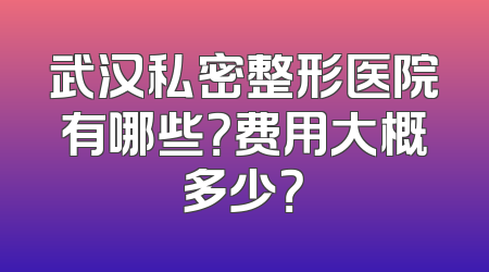武汉私密整形医院有哪些？费用大概多少？