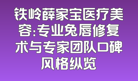 铁岭薛家宝医疗美容：专业兔唇修复术与专家团队口碑风格纵览