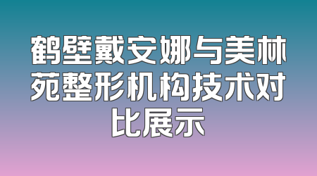 鹤壁戴安娜与美林苑整形机构技术对比展示