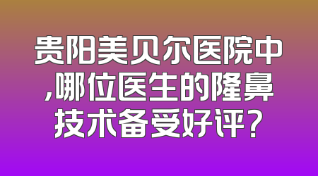 贵阳美贝尔医院中，哪位医生的隆鼻技术备受好评？