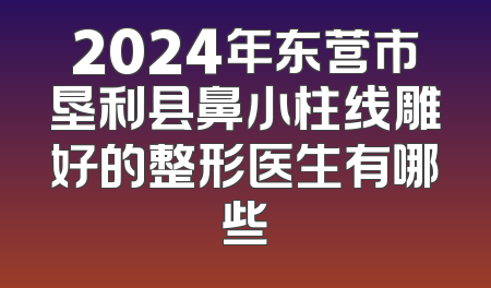 2024年东营市垦利县鼻小柱线雕好的整形医生有哪些