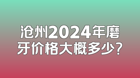 沧州2024年磨牙价格大概多少？