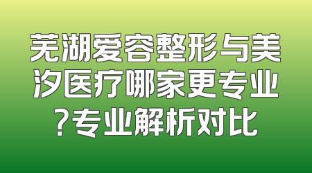 芜湖爱容整形与美汐医疗哪家更专业？专业解析对比