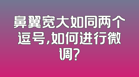鼻翼宽大如同两个逗号，如何进行微调？