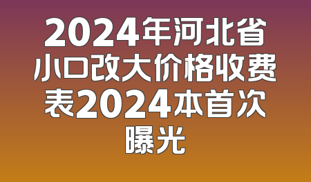 2024年河北省小口改大价格收费表2024本首次曝光