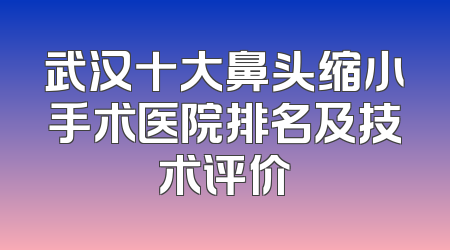 武汉十大鼻头缩小手术医院排名及技术评价