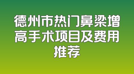德州市热门鼻梁增高手术项目及费用推荐