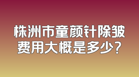 株洲市童颜针除皱费用大概是多少？
