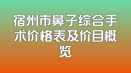 宿州市鼻子综合手术价格表及价目概览