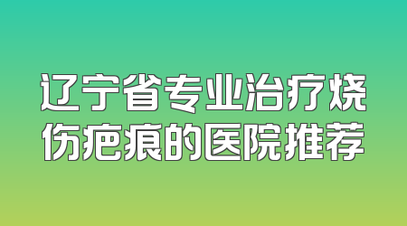 辽宁省专业治疗烧伤疤痕的医院推荐