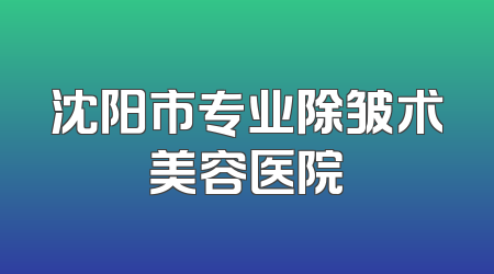 沈阳市专业除皱术美容医院