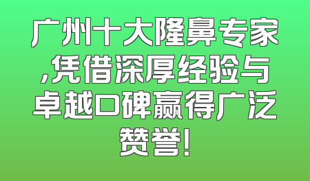 广州十大隆鼻专家，凭借深厚经验与卓越口碑赢得广泛赞誉！