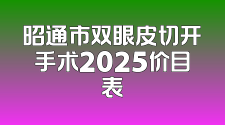昭通市双眼皮切开手术2025价目表