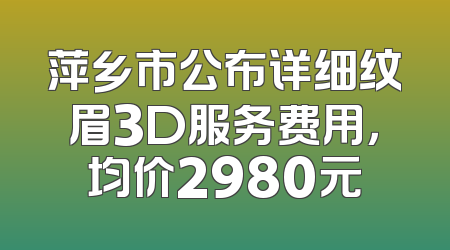 萍乡市公布详细纹眉3D服务费用，均价2980元