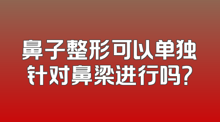 鼻子整形可以单独针对鼻梁进行吗？