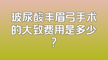 玻尿酸丰眉弓手术的大致费用是多少？