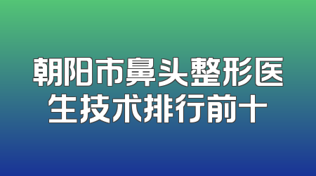 朝阳市鼻头整形医生技术排行前十