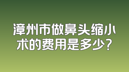 漳州市做鼻头缩小术的费用是多少？